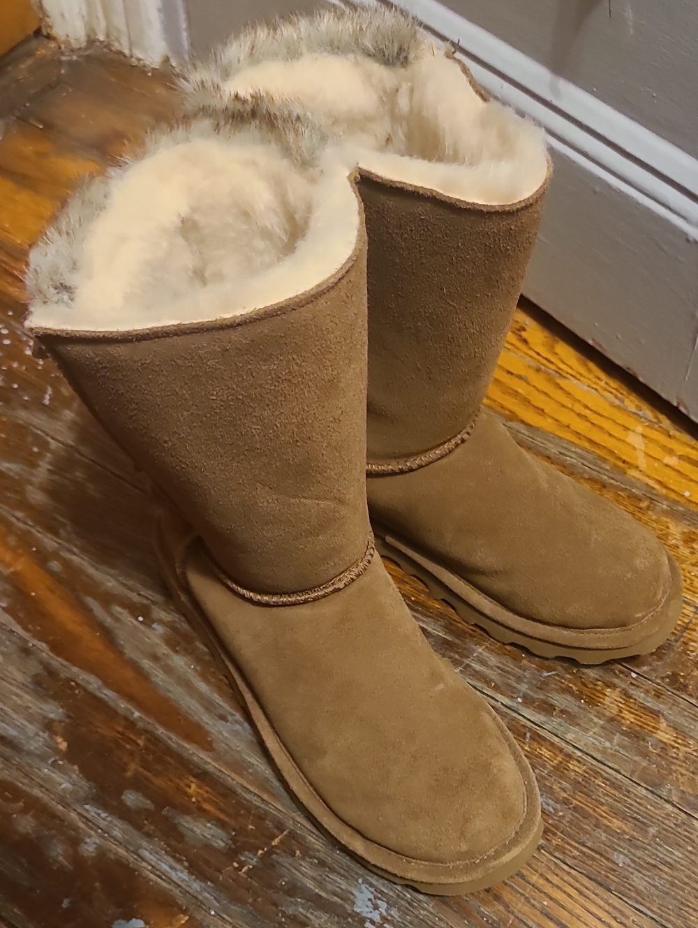 Brown Bearpaw